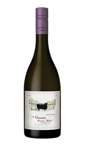 French wine price in india new arrivals